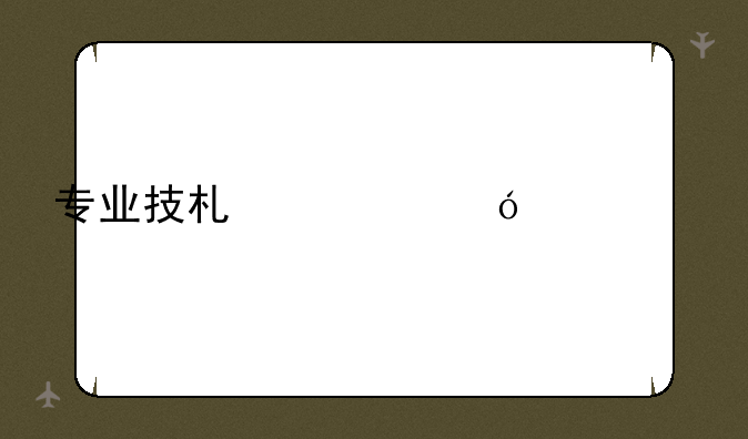 专业技术资格考试