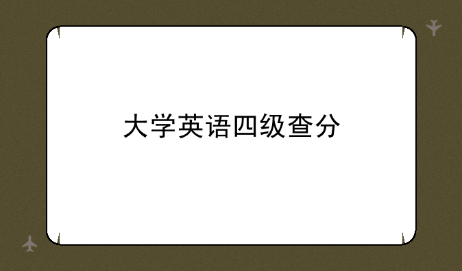 大学英语四级查分