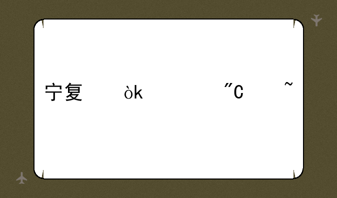 宁夏会考成绩查询