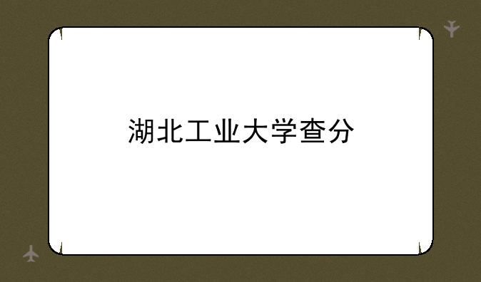 湖北工业大学查分