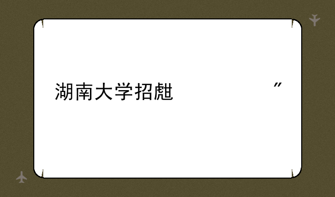 湖南大学招生计划