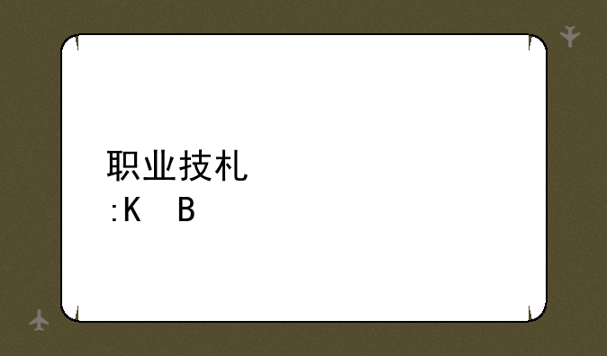 职业技术学校排名
