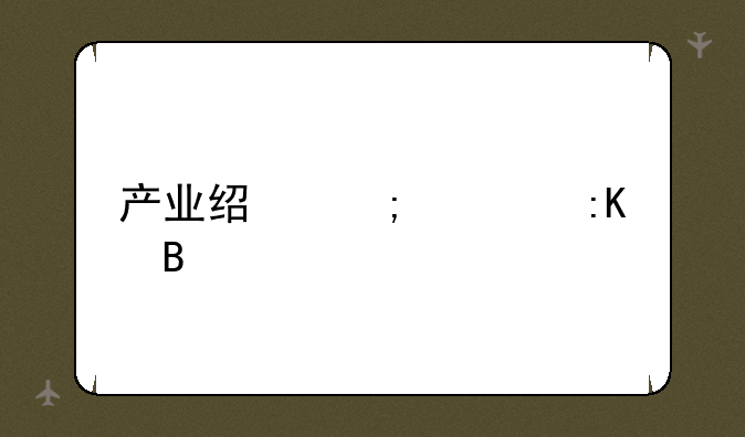 产业经济学排名
