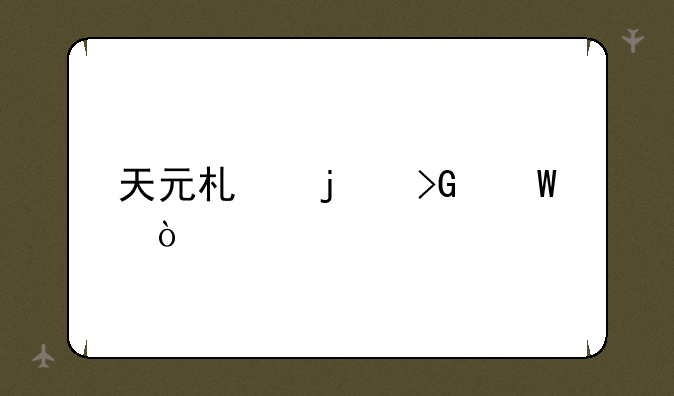 天元术的发展？