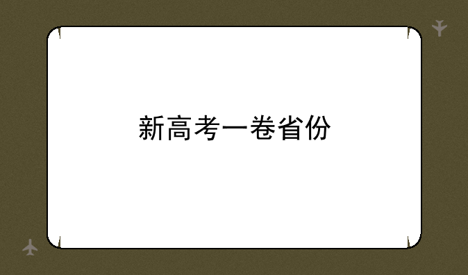 新高考一卷省份