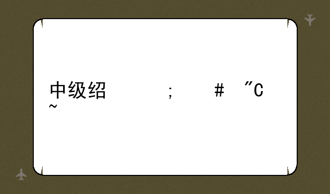 中级经济师成绩查询