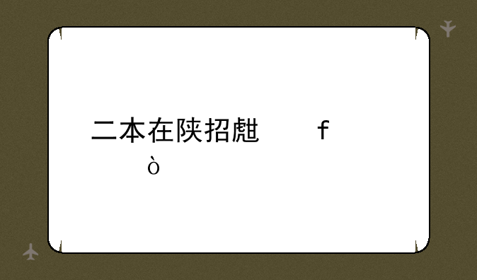 二本在陕招生院校？
