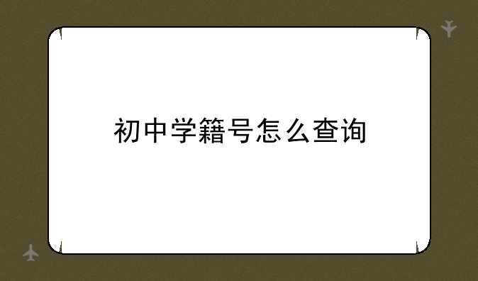 初中学籍号怎么查询