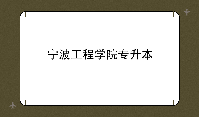 宁波工程学院专升本