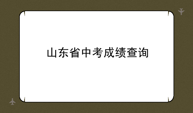 山东省中考成绩查询
