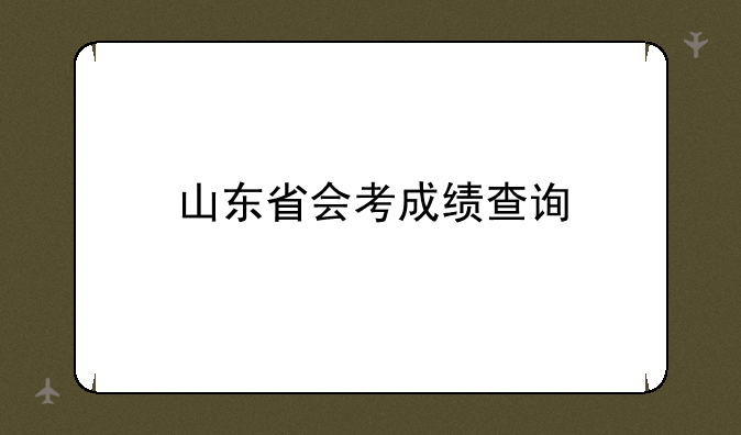 山东省会考成绩查询