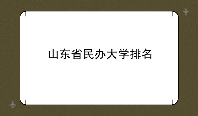 山东省民办大学排名