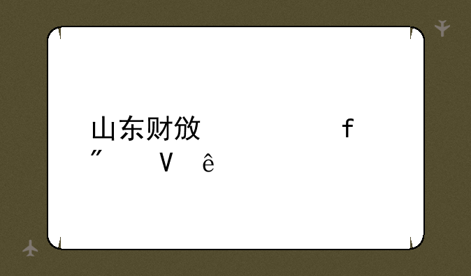 山东财政学院分数线