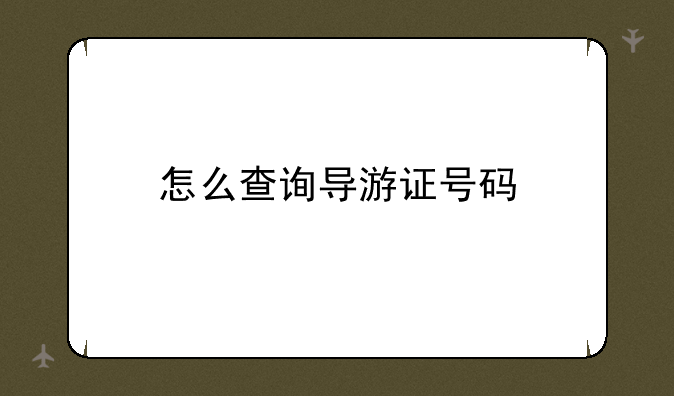 怎么查询导游证号码