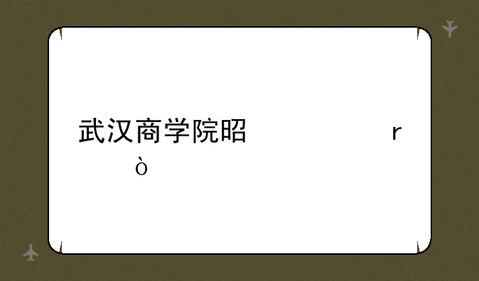 武汉商学院是几本？