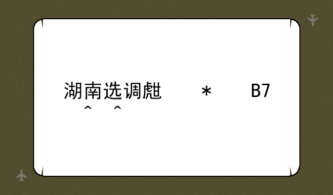 湖南选调生报名时间