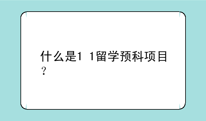 什么是1+1留学预科项目？