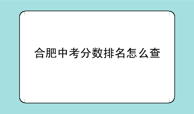 合肥中考分数排名怎么查