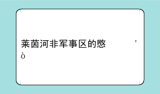 莱茵河非军事区的意义？