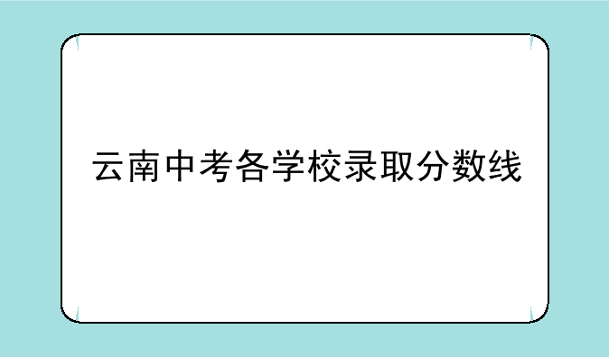 云南中考各学校录取分数线