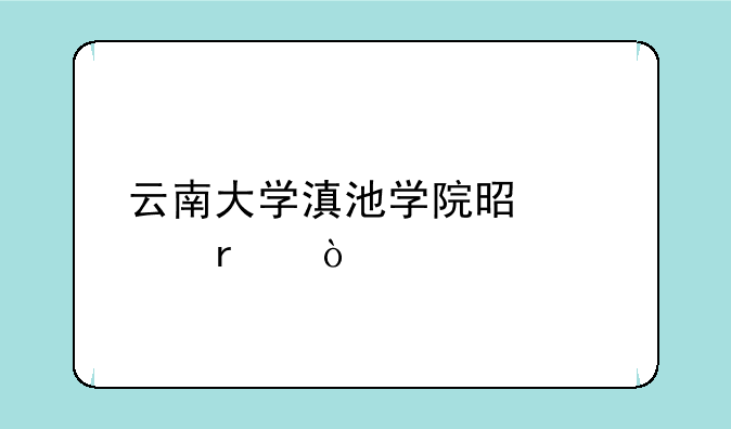云南大学滇池学院是几本？