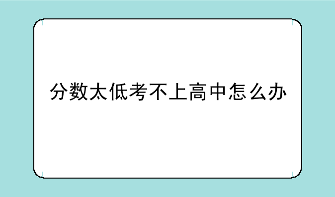 分数太低考不上高中怎么办