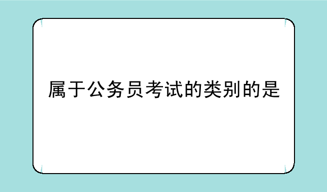 属于公务员考试的类别的是