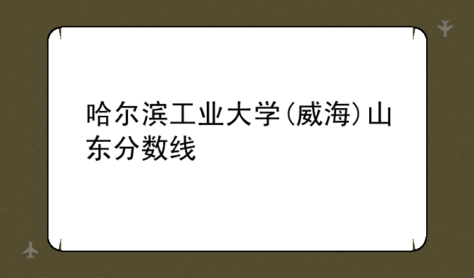 哈尔滨工业大学(威海)山东分数线