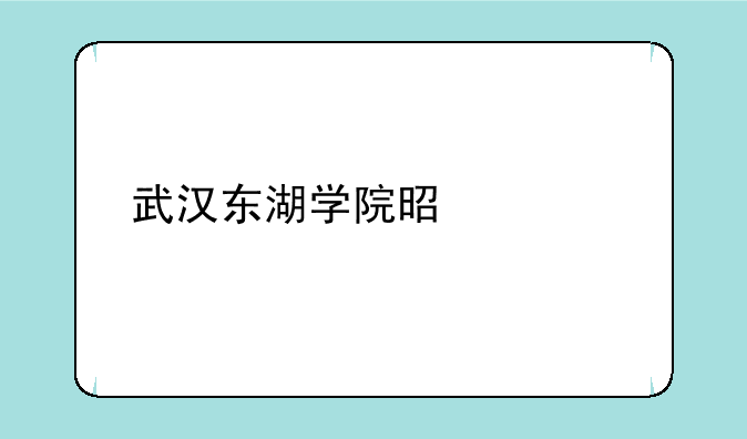 武汉东湖学院是一所野鸡大学吗？
