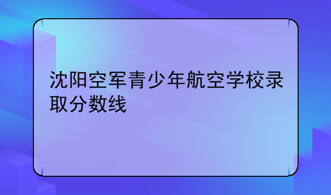 沈阳空军青少年航空学校录取分数线