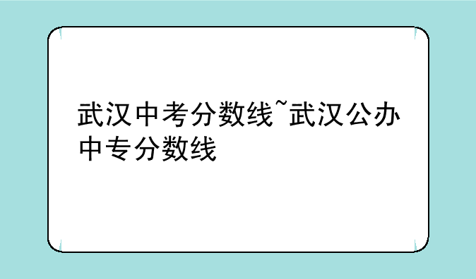 武汉中考分数线~武汉公办中专分数线