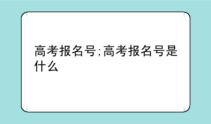 高考报名号;高考报名号是什么