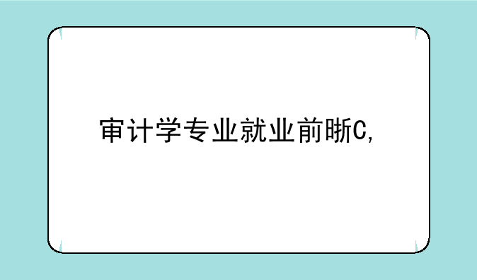 审计学专业就业前景—审计学专业就业前景和就业方向