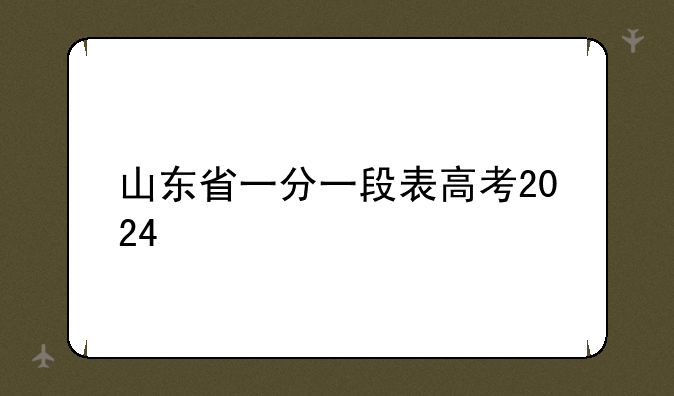 山东省一分一段表高考2024