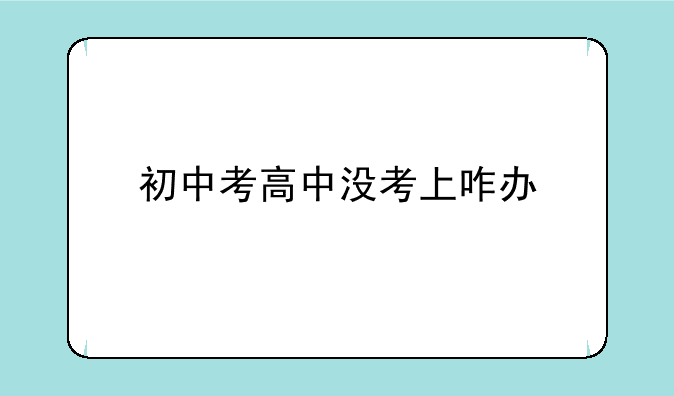 初中考高中没考上咋办
